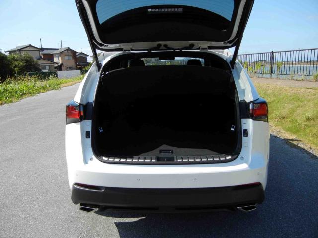 滋賀県中古車　レクサス NX NX200t Fスポーツ
