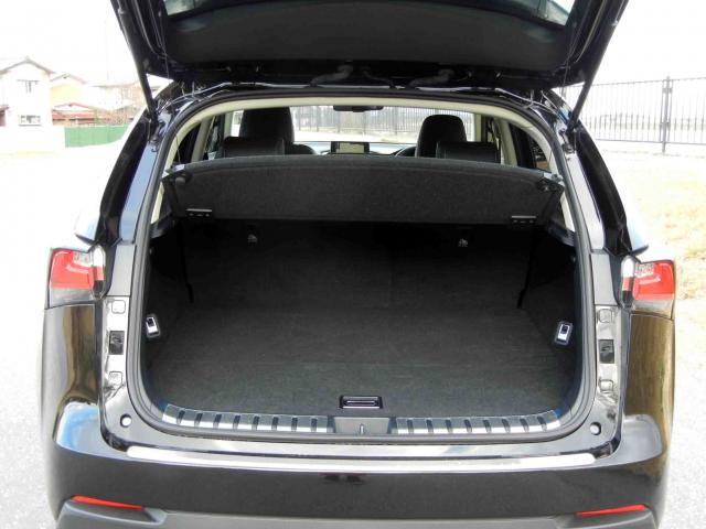 滋賀県中古車　レクサス NX NX200t Iパッケージ
